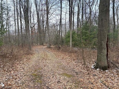 Westbranch Lake Acreage Sale Pending in Alliance Ohio