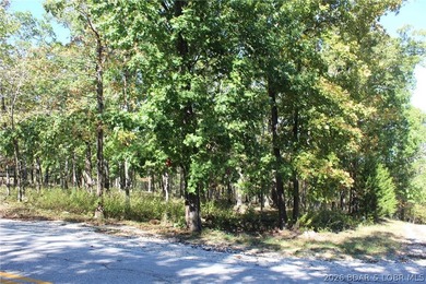 Additional listing photo 1