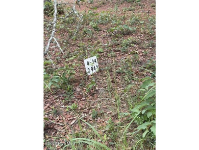 NIce Building Homesite in River Run Plantation; a gated - photo 4