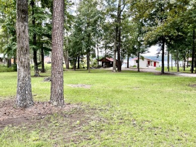 Lake Lot For Sale in Pachuta, Mississippi