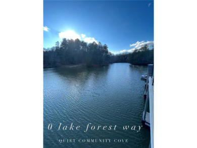 Lake Lanier Home For Sale in Dawsonville Georgia