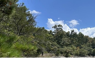 Lake Capri Acreage For Sale in Conyers Georgia