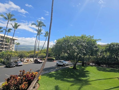 Located in Kihei's Gold Coast right across the street from - photo 22