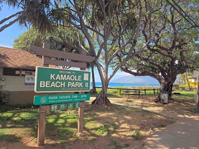 Located in Kihei's Gold Coast right across the street from - photo 27
