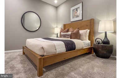 Introducing Washington Place, Conshohocken's premier new - photo 8