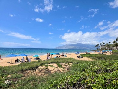 Located in Kihei's Gold Coast right across the street from - photo 29
