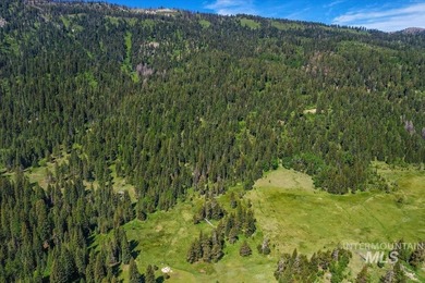 Discover your own private Idaho escape on 21.87 wooded acres in - photo 3