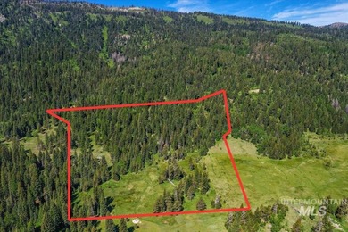 Discover your own private Idaho escape on 21.87 wooded acres in - photo 4