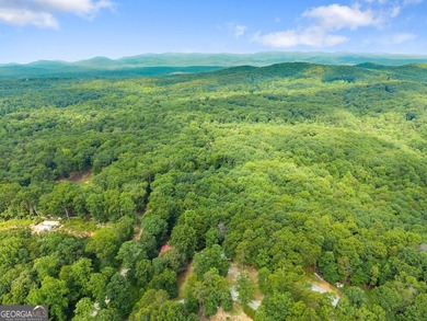 Affordable living in Dawsonville! Nestled on nearly a full acre - photo 19
