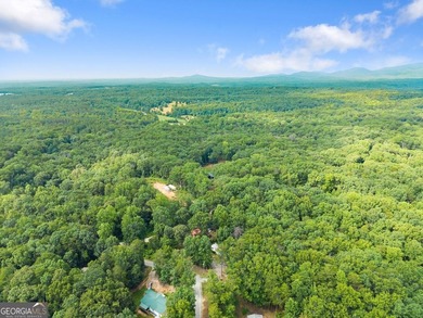 Affordable living in Dawsonville! Nestled on nearly a full acre - photo 20