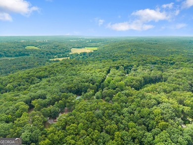Affordable living in Dawsonville! Nestled on nearly a full acre - photo 21