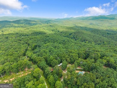 Affordable living in Dawsonville! Nestled on nearly a full acre - photo 23