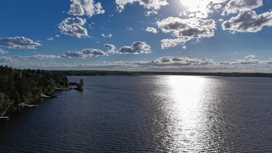 This 4BR, 2BA Rainy Lake property offers 100' of accessible - photo 3