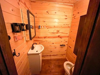This 4BR, 2BA Rainy Lake property offers 100' of accessible - photo 9