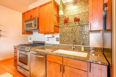 Nestled near the heart of Minneapolis, this beautiful 3rd floor - photo 5