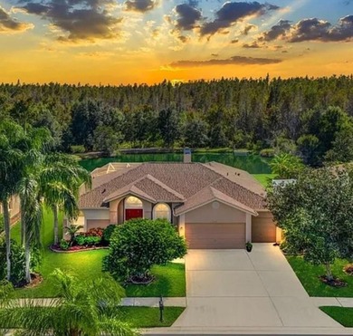 (private lake, pond, coastal) Home For Sale in Lutz Florida