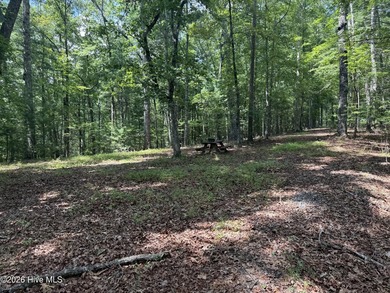 Nice unrestricted wooded acreage with a road already built and - photo 1