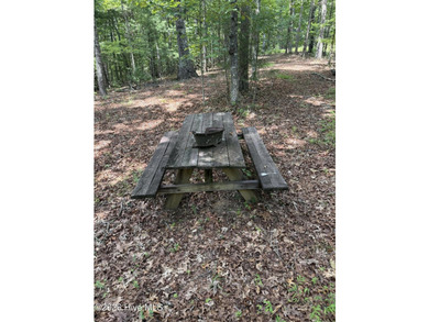Nice unrestricted wooded acreage with a road already built and - photo 2