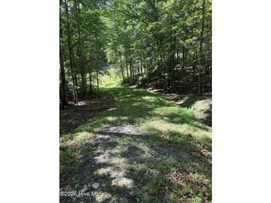 Nice unrestricted wooded acreage with a road already built and - photo 3
