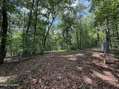 Nice unrestricted wooded acreage with a road already built and - photo 4