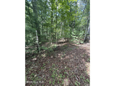 Nice unrestricted wooded acreage with a road already built and - photo 6