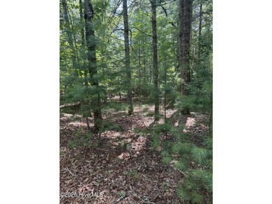 Nice unrestricted wooded acreage with a road already built and - photo 7