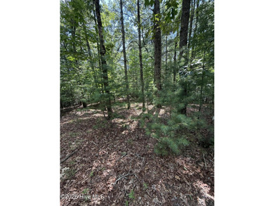 Nice unrestricted wooded acreage with a road already built and - photo 8