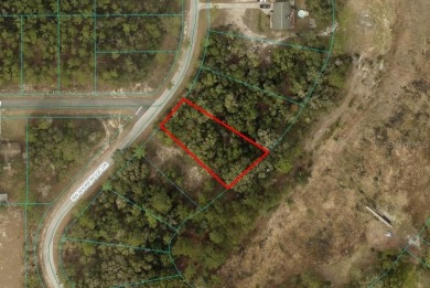 Lake Lot For Sale in Dunnellon, Florida