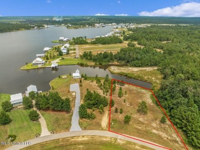 Lake Lot For Sale in Lumberton, Mississippi