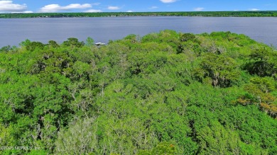 Lake Lot For Sale in Florahome, Florida