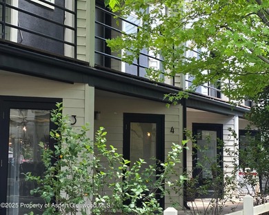 Roaring Fork River Commercial For Sale in Basalt Colorado