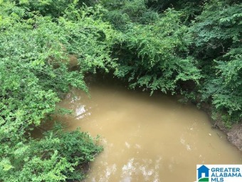 (private lake, pond, creek) Acreage For Sale in Ragland Alabama