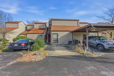 Boone Lake Condo For Sale in Blountville Tennessee