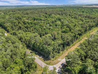 116 Acres | Prime Residential Land Near Fish River, AL. Located - photo 2