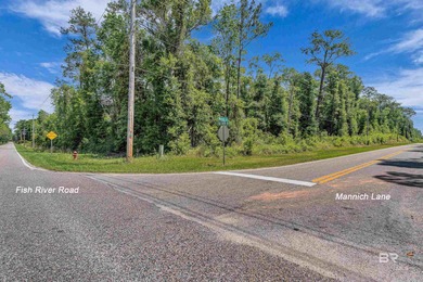 116 Acres | Prime Residential Land Near Fish River, AL. Located - photo 3