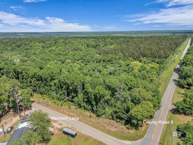 116 Acres | Prime Residential Land Near Fish River, AL. Located - photo 4