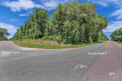 116 Acres | Prime Residential Land Near Fish River, AL. Located - photo 5