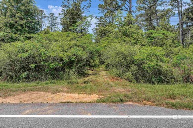 116 Acres | Prime Residential Land Near Fish River, AL. Located - photo 6