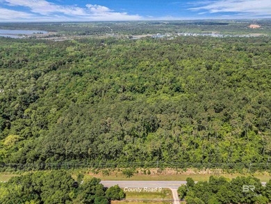 116 Acres | Prime Residential Land Near Fish River, AL. Located - photo 7