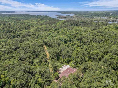 116 Acres | Prime Residential Land Near Fish River, AL. Located - photo 8