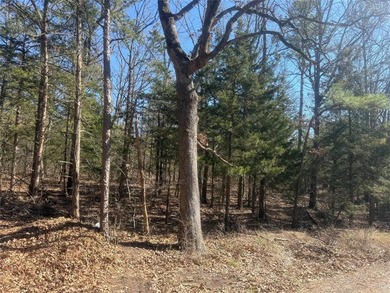 Pat Mayes Lake Acreage For Sale in Powderly Texas