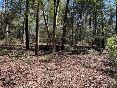 Dogwood Lake Lot For Sale in Bonifay Florida