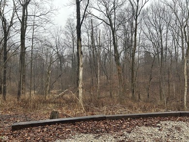 Princes Marlin Lake Lot For Sale in Nineveh Indiana