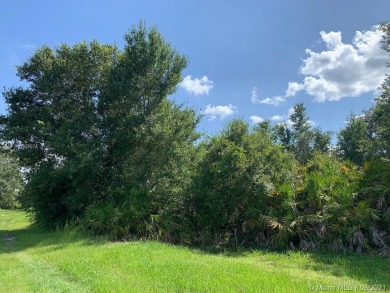 Reedy Lake Acreage For Sale in Frostproof Florida