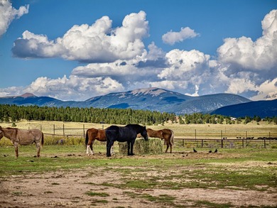 In the heart of the Angel Fire Valley lies a beloved, family-run - photo 6
