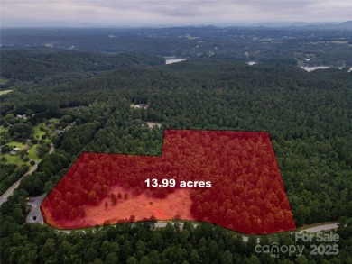 Lake Acreage For Sale in Connelly Springs, North Carolina
