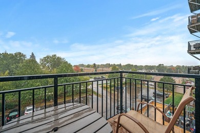 Maintenance free living at its finest in this well cared for - photo 9