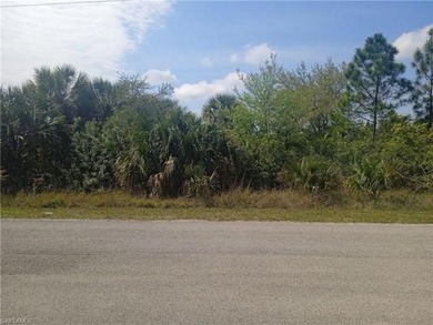 Lehigh Acres Area Lot For Sale in Lehigh Acres Florida