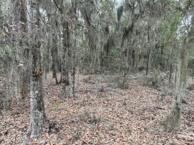 Beaufort River Acreage For Sale in Beaufort South Carolina