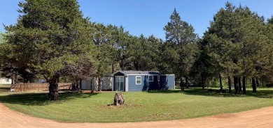 Lake Home For Sale in Sadler, Texas